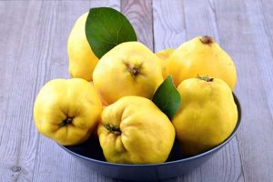 میوه ای که سیستم ایمنی تان را قوی می‌کند