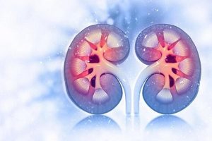 مشکلات کلیوی احتمال مرگ بیماران کرونایی را افزایش می دهد