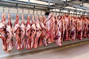 حداکثر قیمت گوشت قرمز تعیین شد