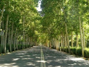 دهکده مسکونی فردیس ثبت ملی می شود