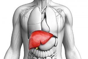 خوراکی هایی که سلامت کبدتان را بیمه می‌کنند