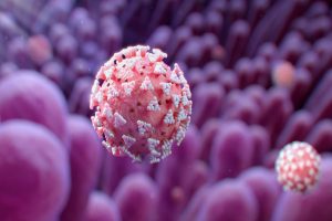 کرونای انگلیسی خطرناک تر از نسخه چینی