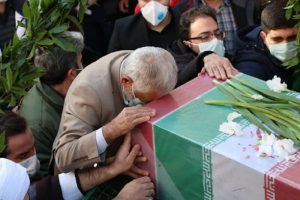 البرز میزبان ۲ کبوتر گمگشته خونین بال می شود