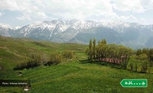 روستای پیچ بن + عکس
