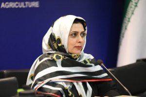 مشکل فعالان صنایع دستی، نبود نمایشگاه عرضه محصولات صنایع دستی است