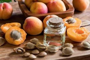 آشنایی با خواص روغن هسته زردآلو