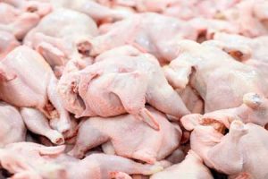 تدوام نابسامانی در بازار مرغ/ مرغ کامل نداریم، قطعه بندی شده بخرید