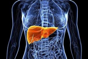 چطور کبد چرب را درمان کنیم؟