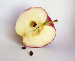اثر معجزه آسای خوردن هسته سیب