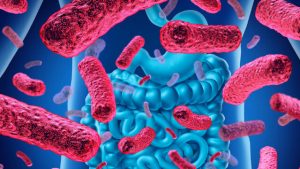 روده ما میزان خِرَد و تنهایی ما را پیش بینی می‌کند!