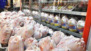 توزیع یک هزار تن مرغ و گوشت منجمد در البرز
