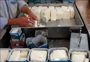 قیمت پنیر از ۱۰۰ هزار تومان گذشت