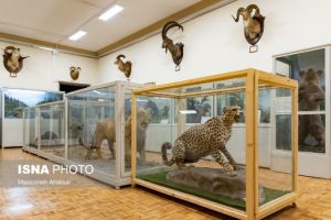 جشن روز کودک و محیط زیست در خانه محیط زیست البرز + تصاویر