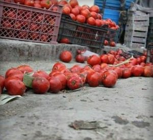 معطلی ۲۵ روزه ۳۰۰ کانتینر میوه و تره بار ایرانی در مرز آذربایجان