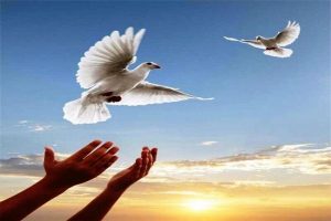 ۱۰ زندانی جرائم غیر عمد در البرز از زندان آزاد شدند