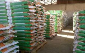 کشف ۲۳۸ تن عدس خارجی قاچاق در زیبا دشت