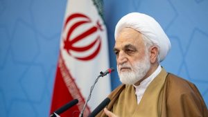اژه ای: هیچ ایرانی خارج از کشور، ممنوع الورود نیست