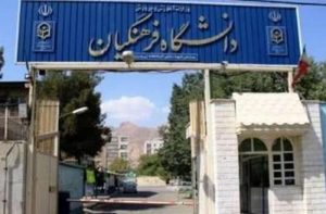 رئیس بنیاد فرهنگی آموزشی نصر: کار مسکنی و مقطعی فایده چندانی ندارد