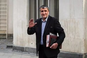 اسلامی: آژانس نباید بازیچه گروه های تروریستی باشد