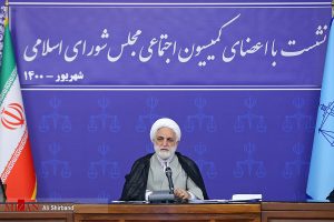 محسنی اژه ای: لازم است برخی قوانین به نفع زنان تغییر کند