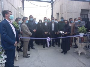 طرح ملی مرکز ساماندهی مشاغل خانگی البرز افتتاح شد