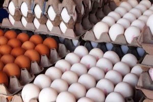 پلمب کارگاه تولید مایع تخم مرغ غیر بهداشتی در نظرآباد