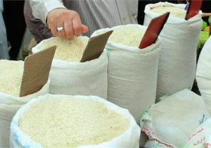 قیمت برنج با اعلام نرخ دستوری تعدیل می‌شود