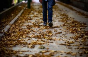 صدای پاییز در پارک های کرج شنیدنی است