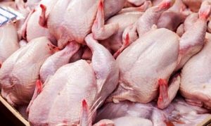 توقیف خودروی حامل مرغ خارج از شبکه توزیع در آزادراه کرج – قزوین