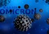اومیکرون از کدام استان وارد ایران می‌شود؛ بوشهر، گیلان یا هرمزگان؟
