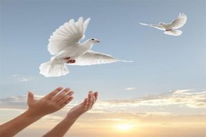 ۶ محکوم به قصاص در البرز بخشیده شدند