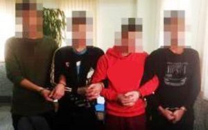 کشف ۸ فقره سرقت میلیاردی از باغات و ویلاهای منطقه مهرشهر