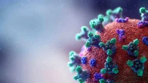 آخرین وضعیت کرونا در استان البرز؛ ۲۴ دی
