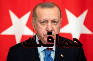 با حماقت حمایت کن تا ریشه ات را خشک کنند