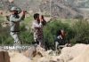 مرکز تربیت محیط بان کشور مجدداً راه اندازی شد