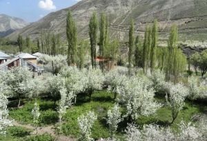 شهرستانک؛ روستایی خوش آب و هوا نزدیک تهران | کاخ ناصری کجاست؟
