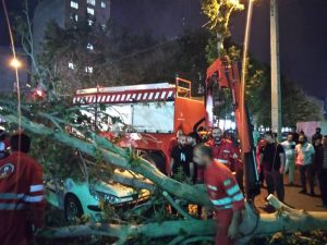 سقوط درخت بر روی خودرو در کرج + تصاویر