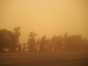 تالاب صالحیه به کانون گردوغبار تبدیل شده است