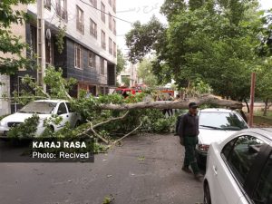سقوط ۴ اصله درخت بر اثر توفان امروز در کرج + تصاویر