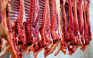 رئیس اتحادیه گوشت گوسفندی: دام کیلویی ۸۰ هزار تومان را کسی نمی‌خرد