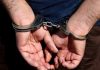 عامل قتل پنج نفر فردیسی در تهران دستگیر شد