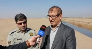 شترهای سرگردان یکی از علل اصلی غبار خیزی تالاب صالحیه است