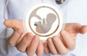 سرپرست اداره کل امور بانوان البرز: نرخ باروری در البرز پایین است