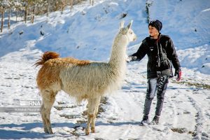 عکس؛ پارک محیط بان کرج
