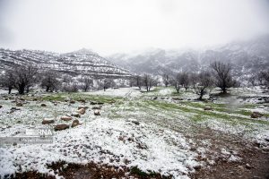 هشدار سطح نارنجی برای شهرستان طالقان / بارش برف بهاری