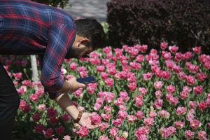 گزارش تصویری؛ استقبال پر شور بازدید کنندگان از جشنواره لاله های کرج