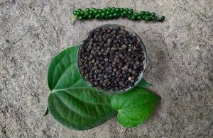 شکل جالب میوه فلفل سیاه روی درخت! + عکس