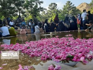 جشنواره گلاب در نظرآباد آغاز شد