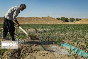 پساب تصفیه خانه ماهدشت به دست کشاورزان برسد