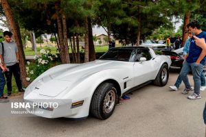 گزارش تصویری؛ همایش خودروهای کلاسیک در محوطه کاخ مروارید کرج